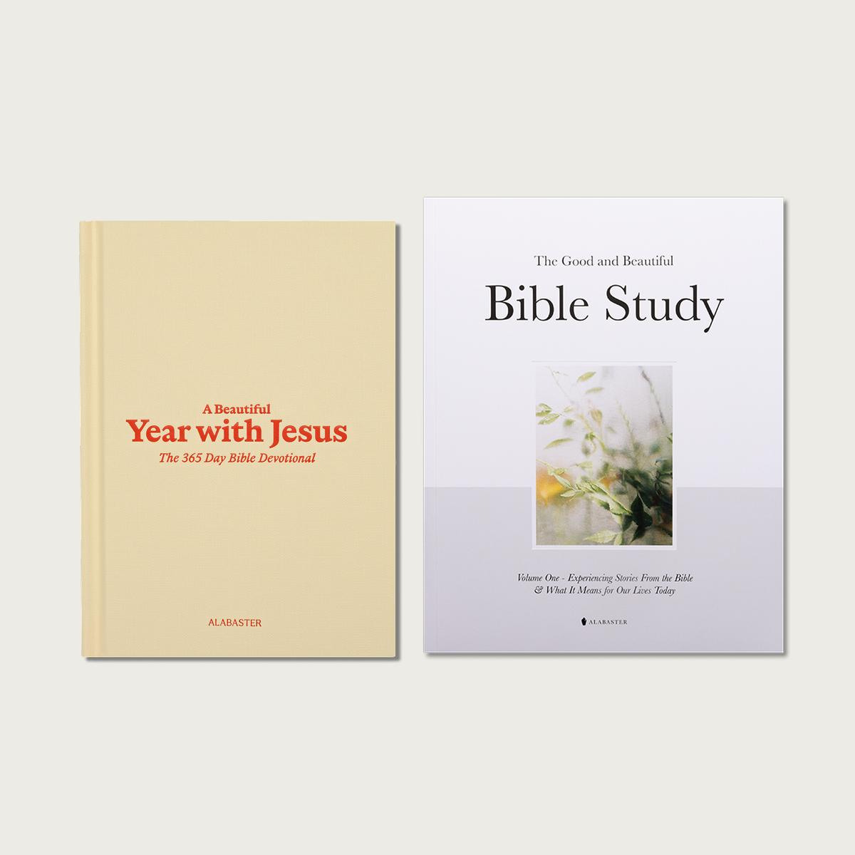 A Beautiful Year with Jesus
