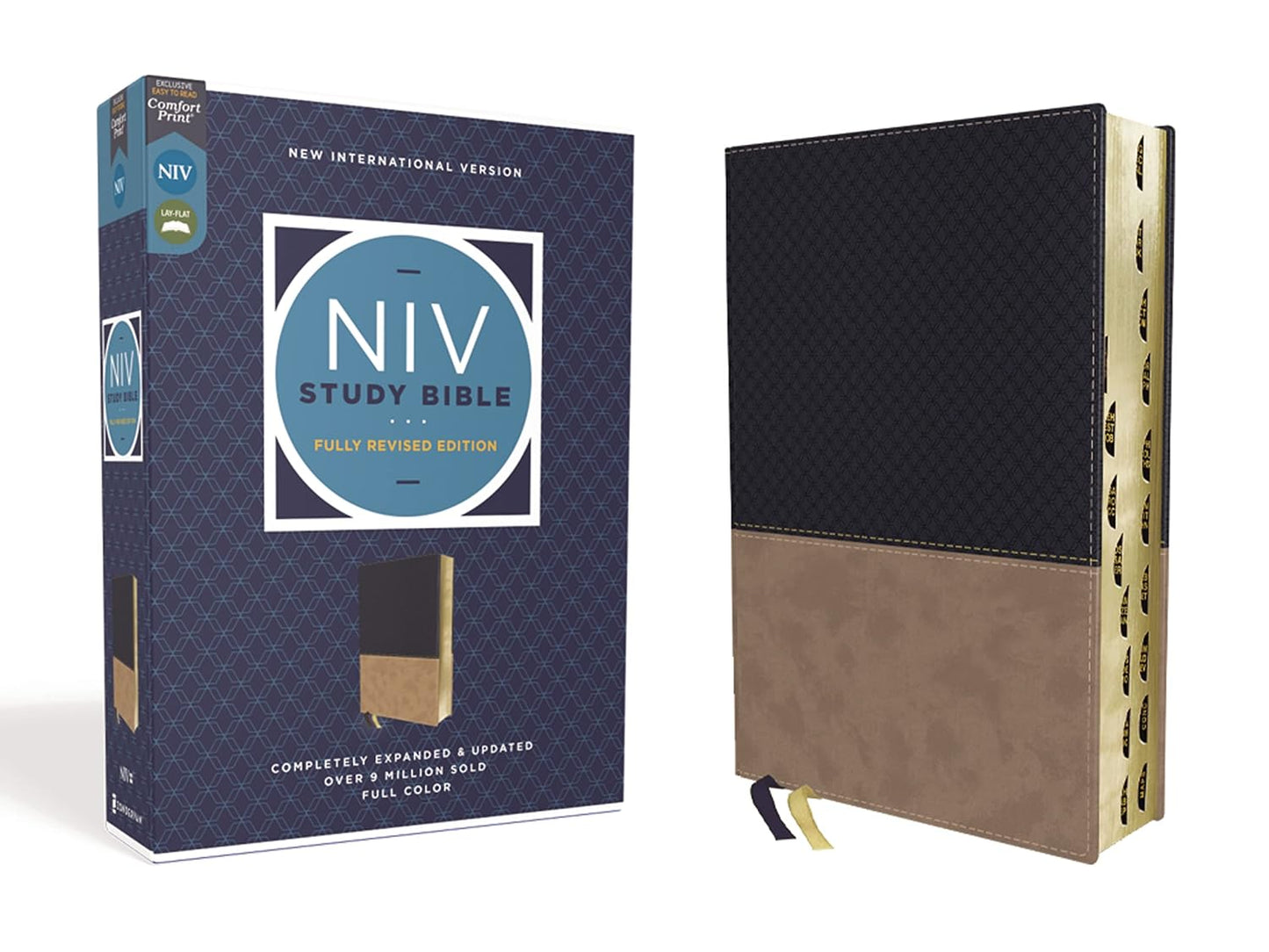 NIV Study Bibler Fully Revised Edition