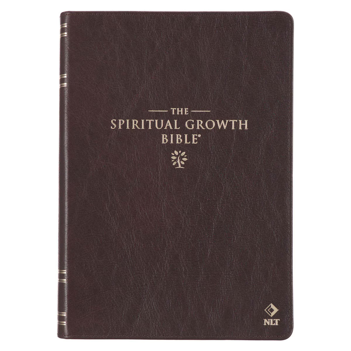 Bible New Living Translation Growth Bible
