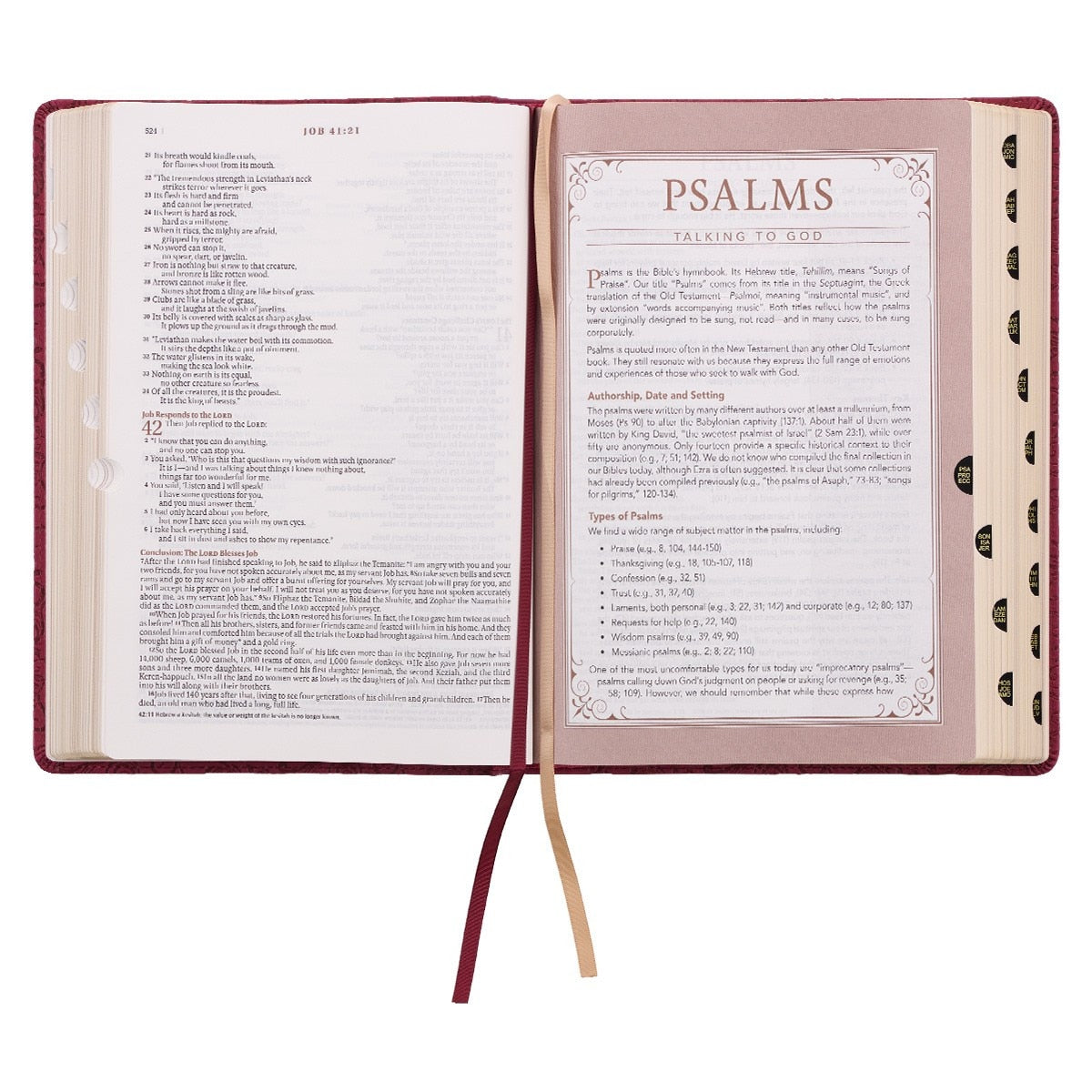 Berry Faux Leather Spiritual Growth Bible NLT