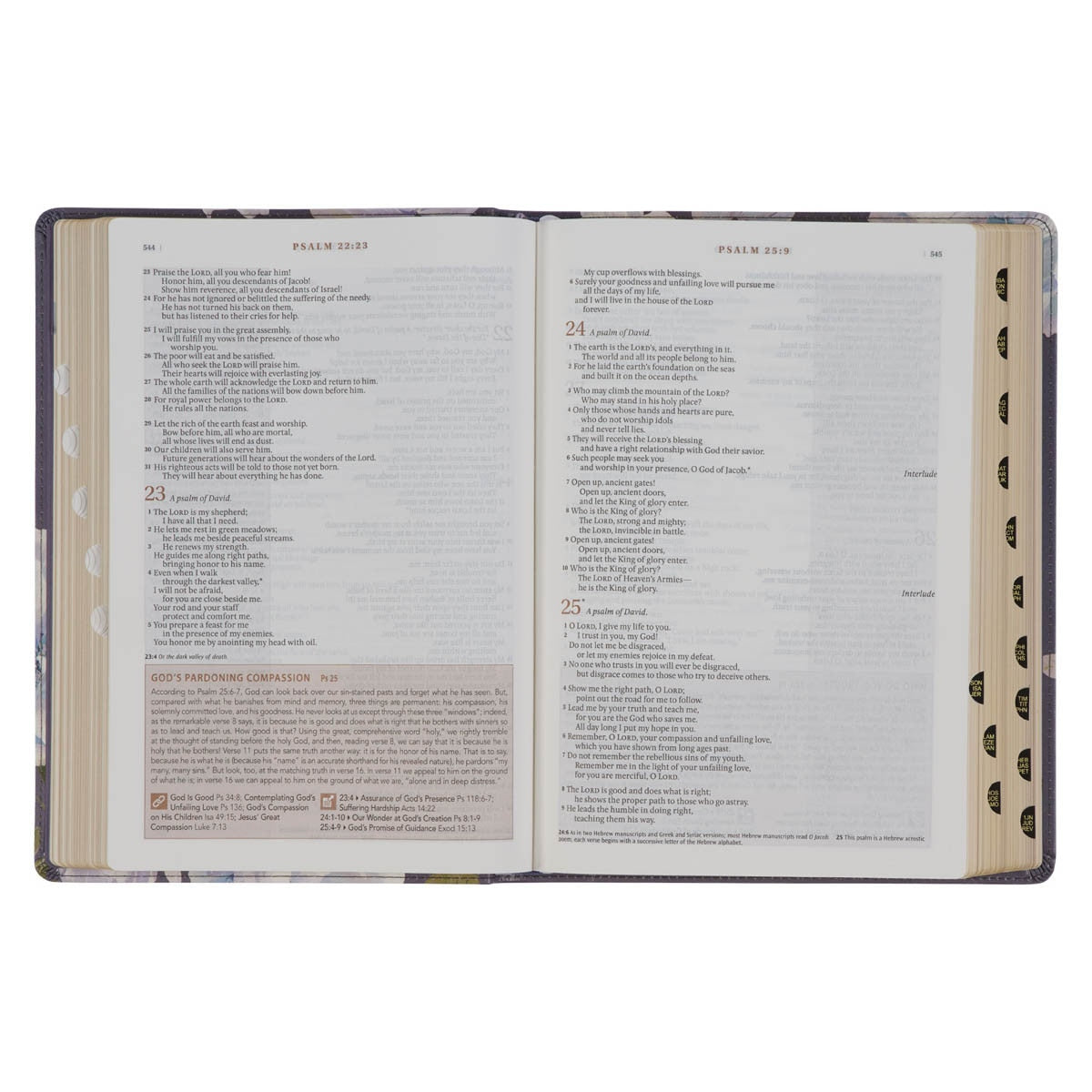 NLT Spiritual Growth Bible - Dusty Purple