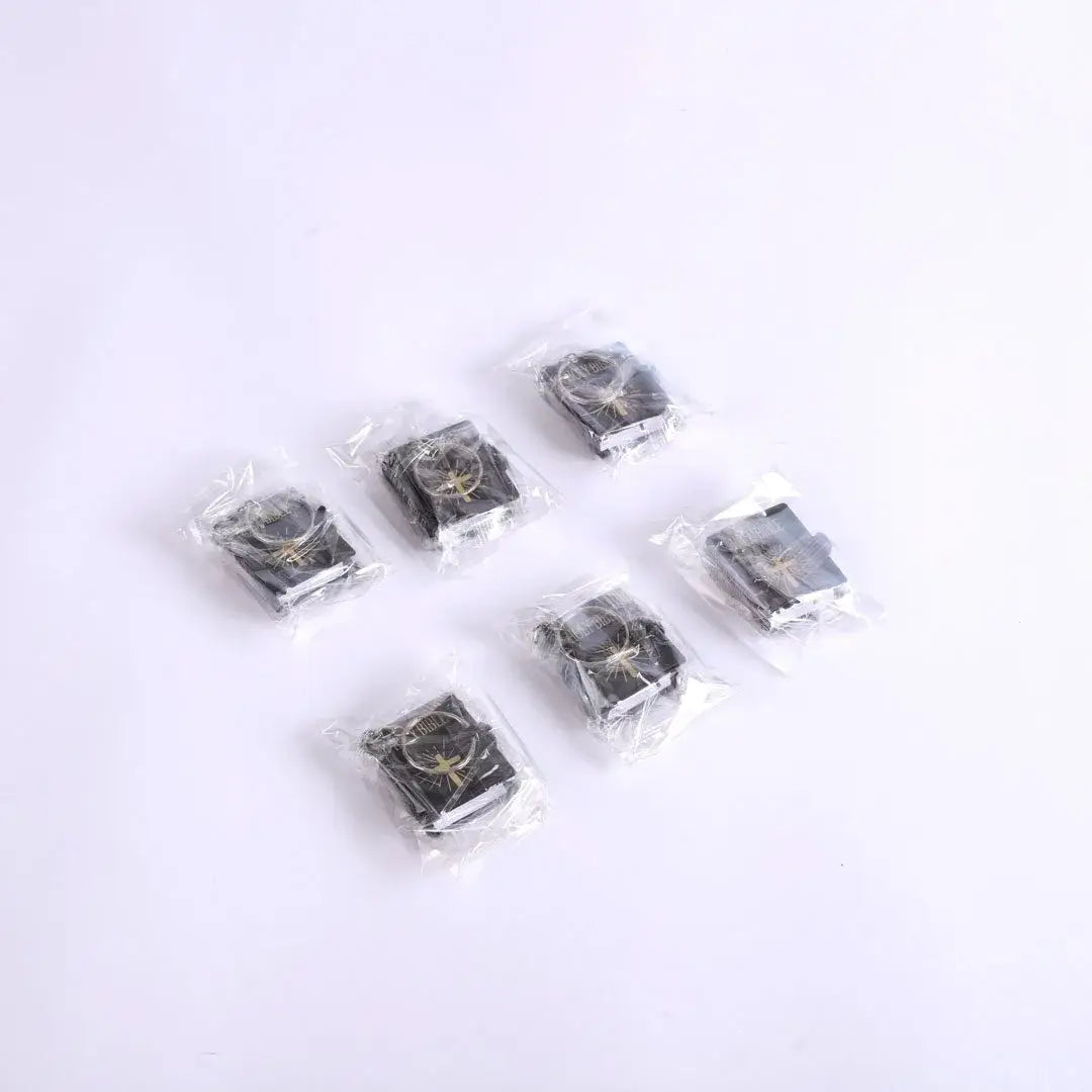 Mini Bible Keychain Black - 6Pk