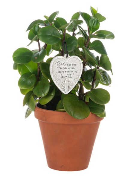 Sacred Wings Memorial Plaques with Stakes
