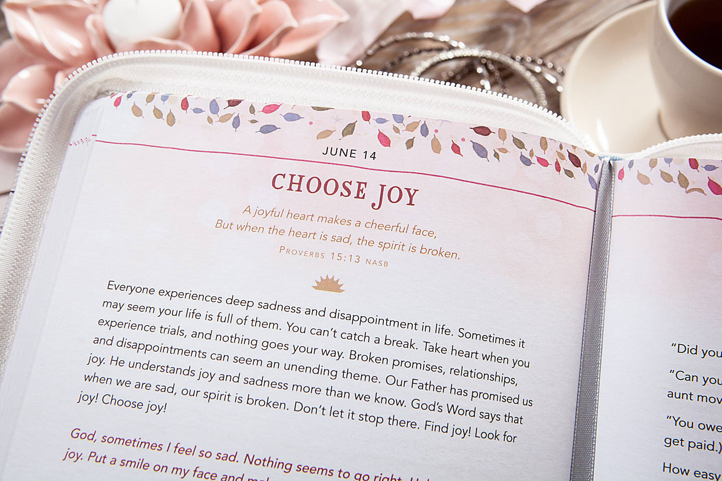 For I Know the Plans Morning & Evening Zip Devotional