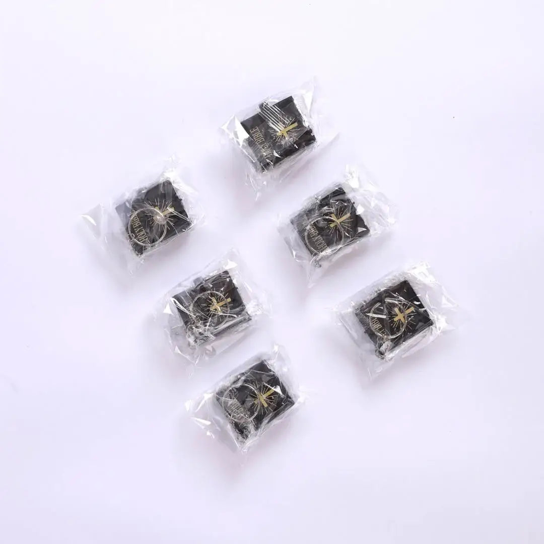 Mini Bible Keychain Black - 6Pk