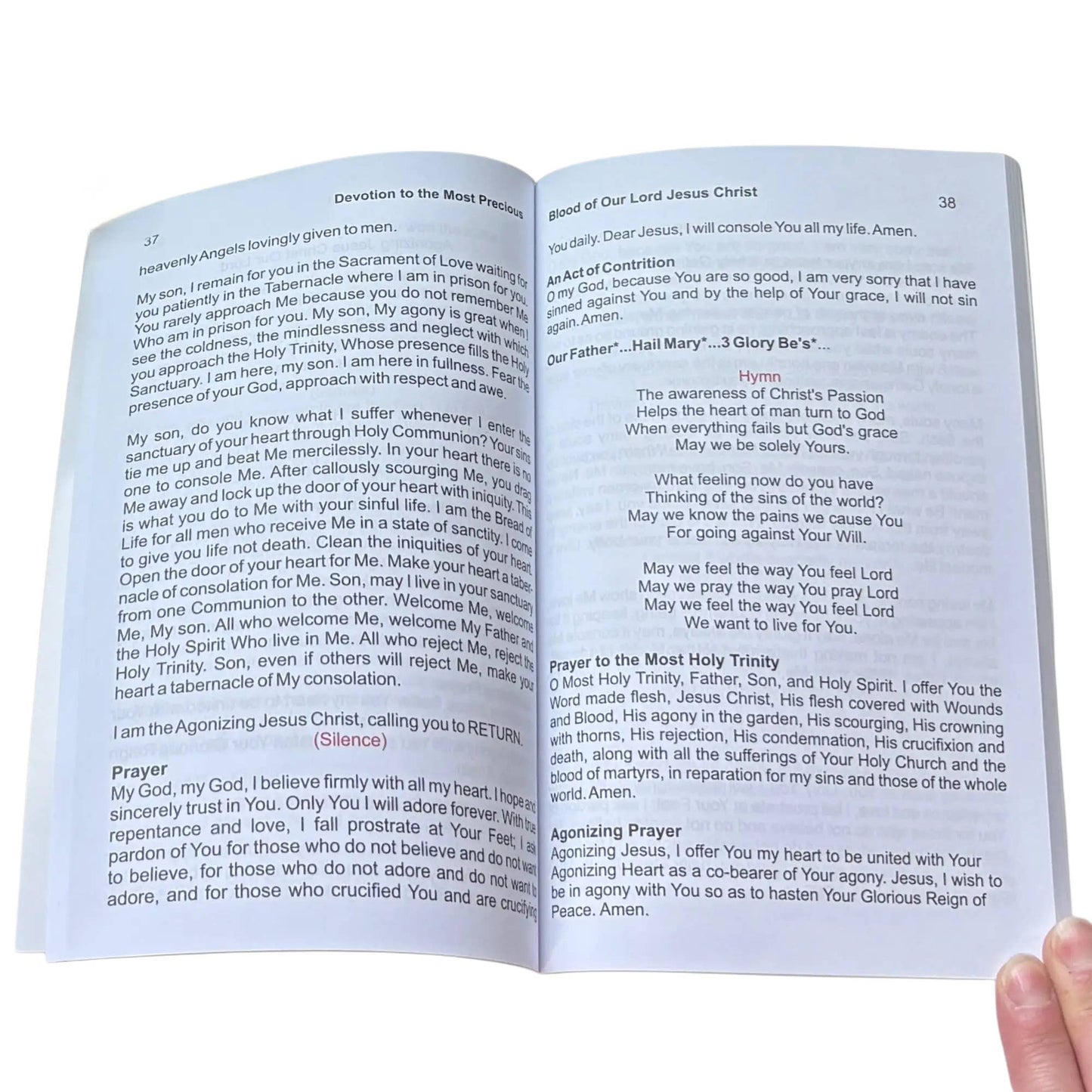 Devotion to The Most Precious Blood of Our Lord Jesus Book