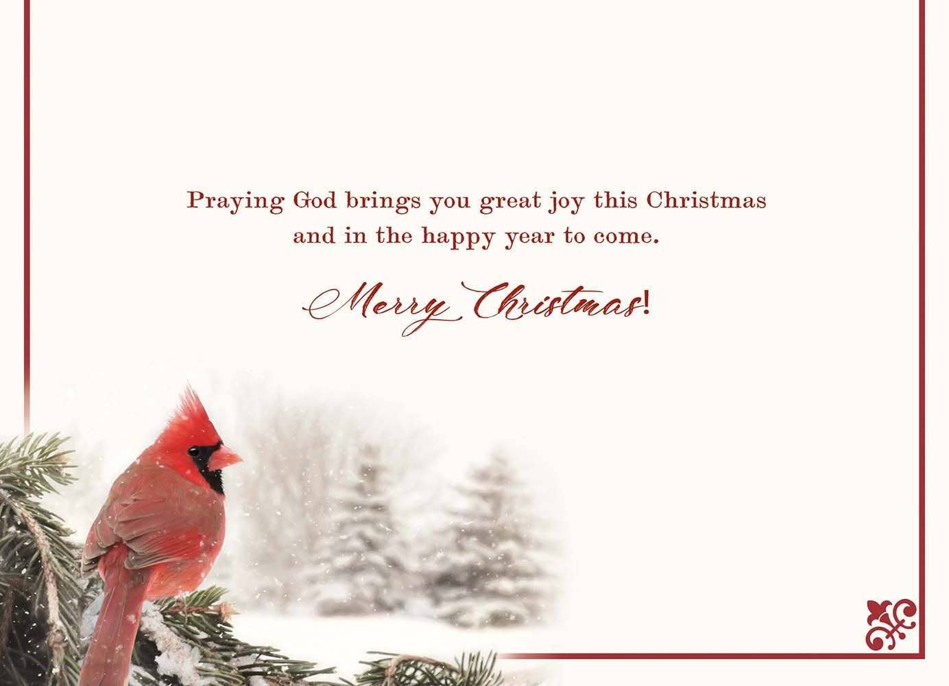 Winter Cardinal Faith Holiday Cards in a Box
