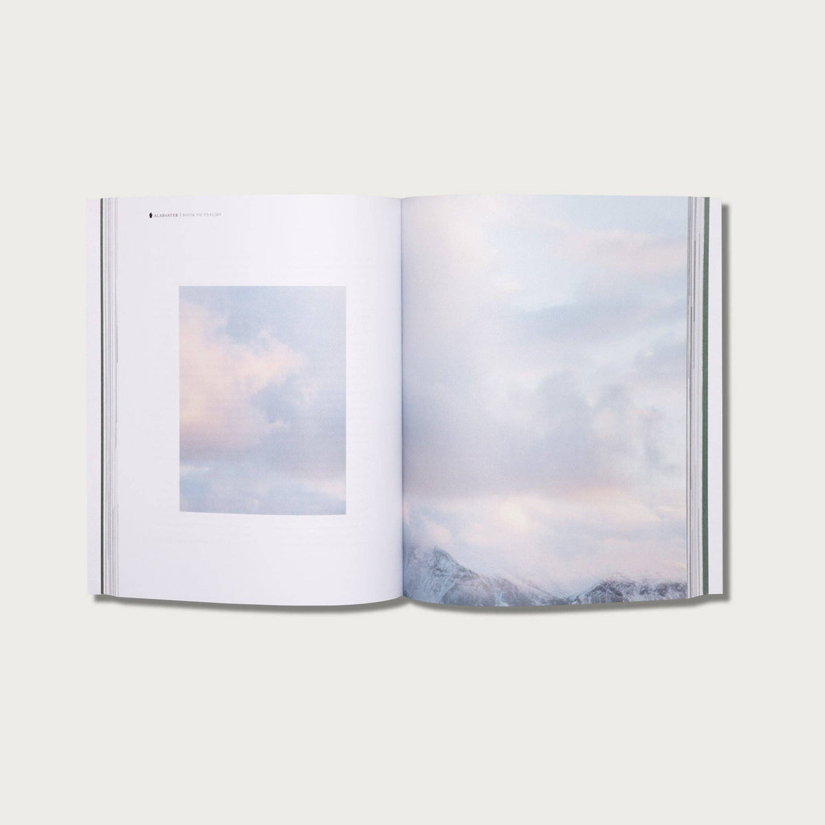 The Book of Psalms