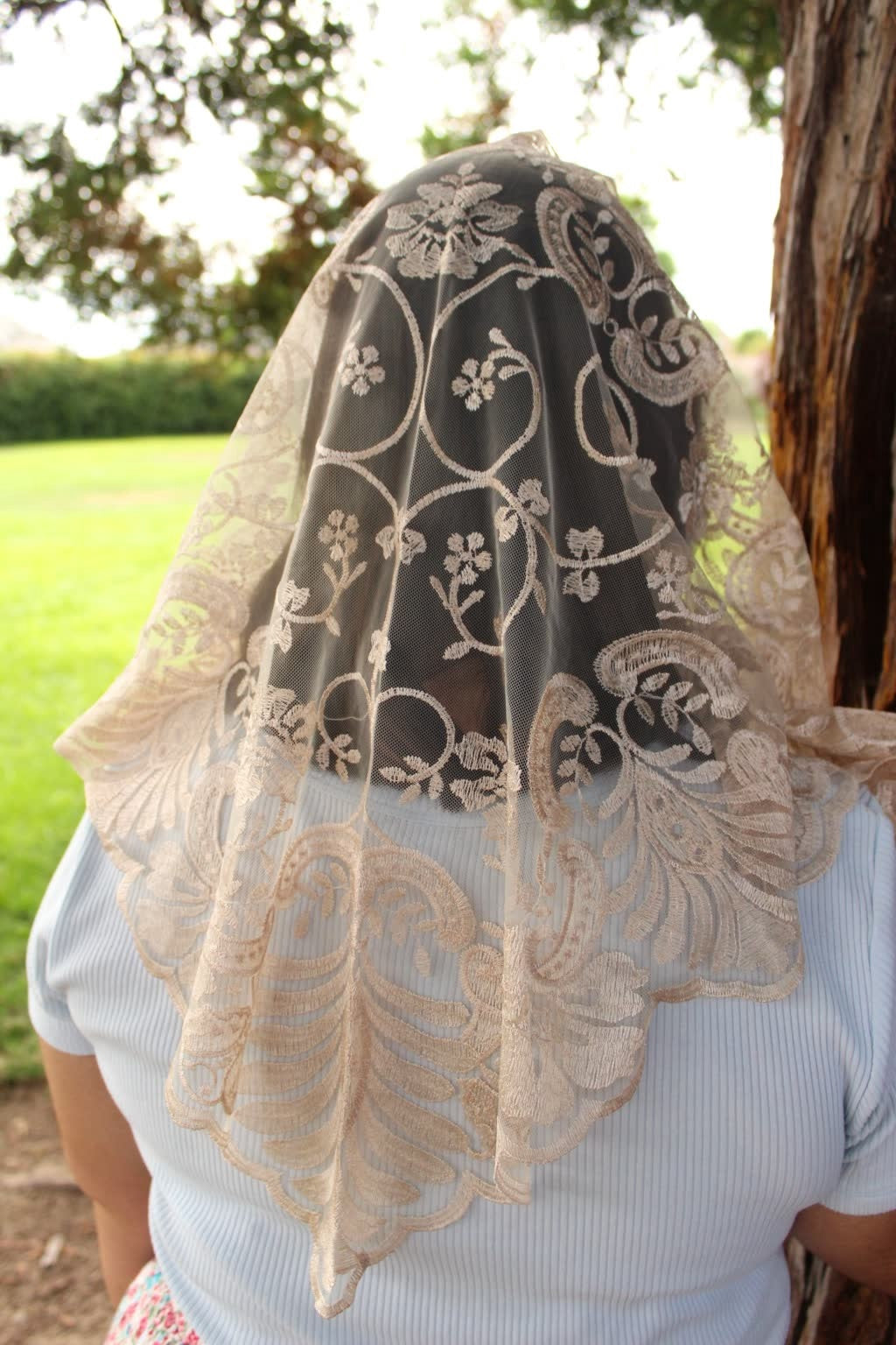Jacinta Veil