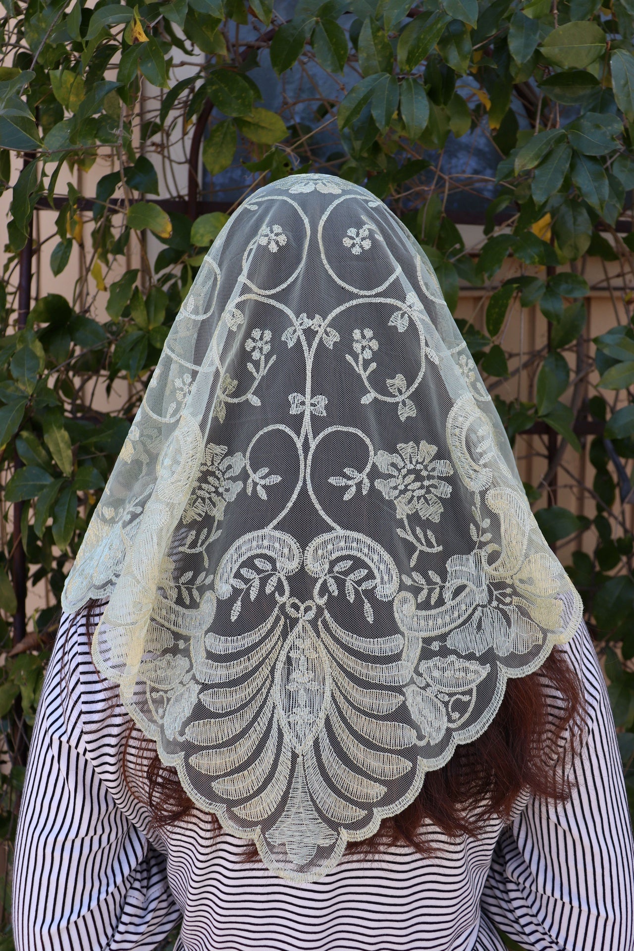 Jacinta Veil