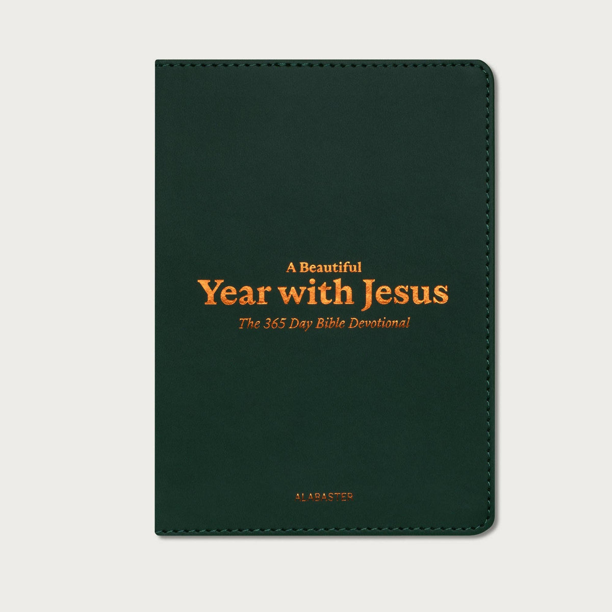 A Beautiful Year with Jesus