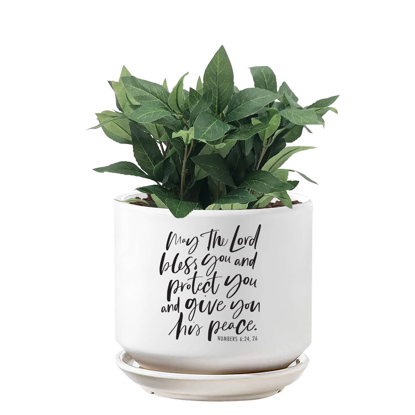 LCP Planter The Lord Bless And Protect You