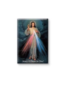 2" x 3" Divine Mercy Magnetic Laminated Plaque
