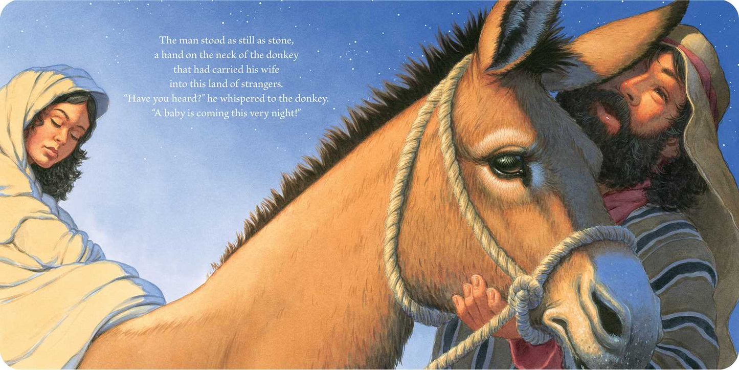 The Christmas Baby Board Book