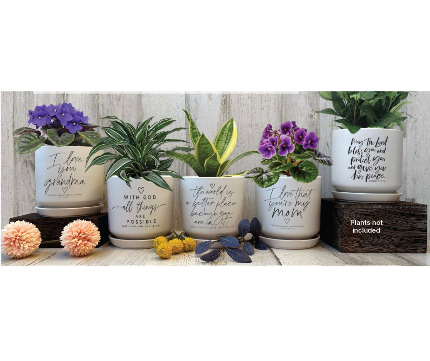 LCP Planter The World Is A Better Place