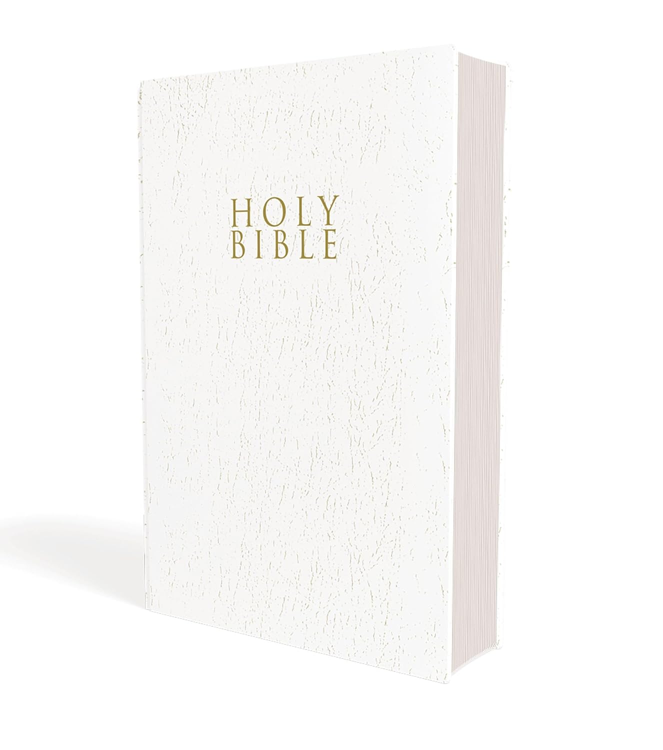 NIV, Gift and Award Bible, Leather-Look, Red Letter, Comfort Print Paperback