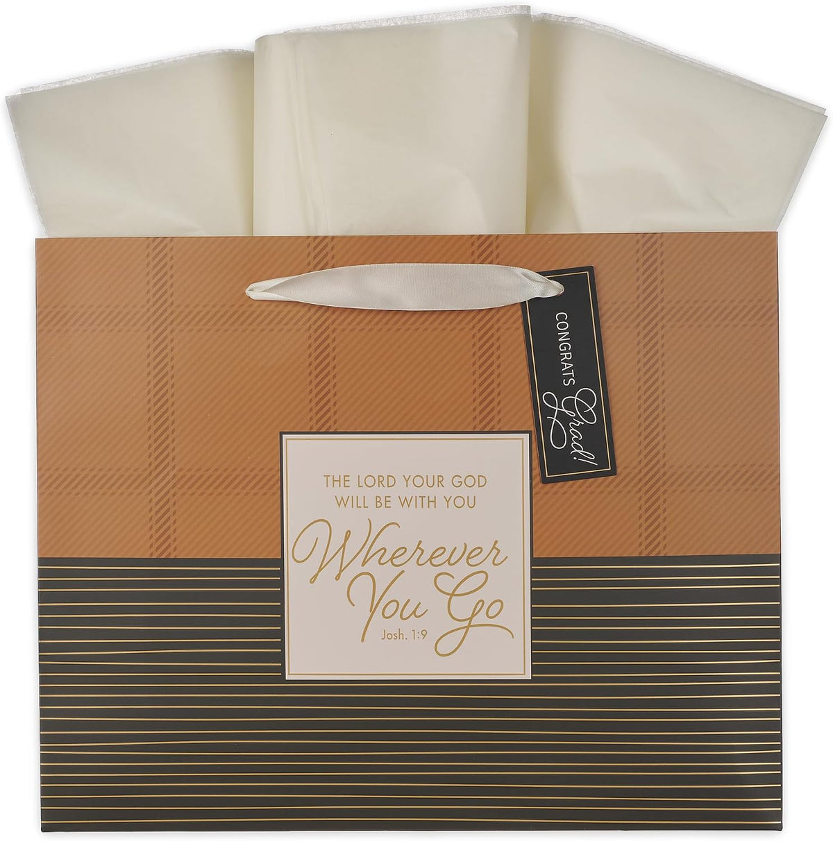 Large Scripture Gift Bag with Tissue Paper