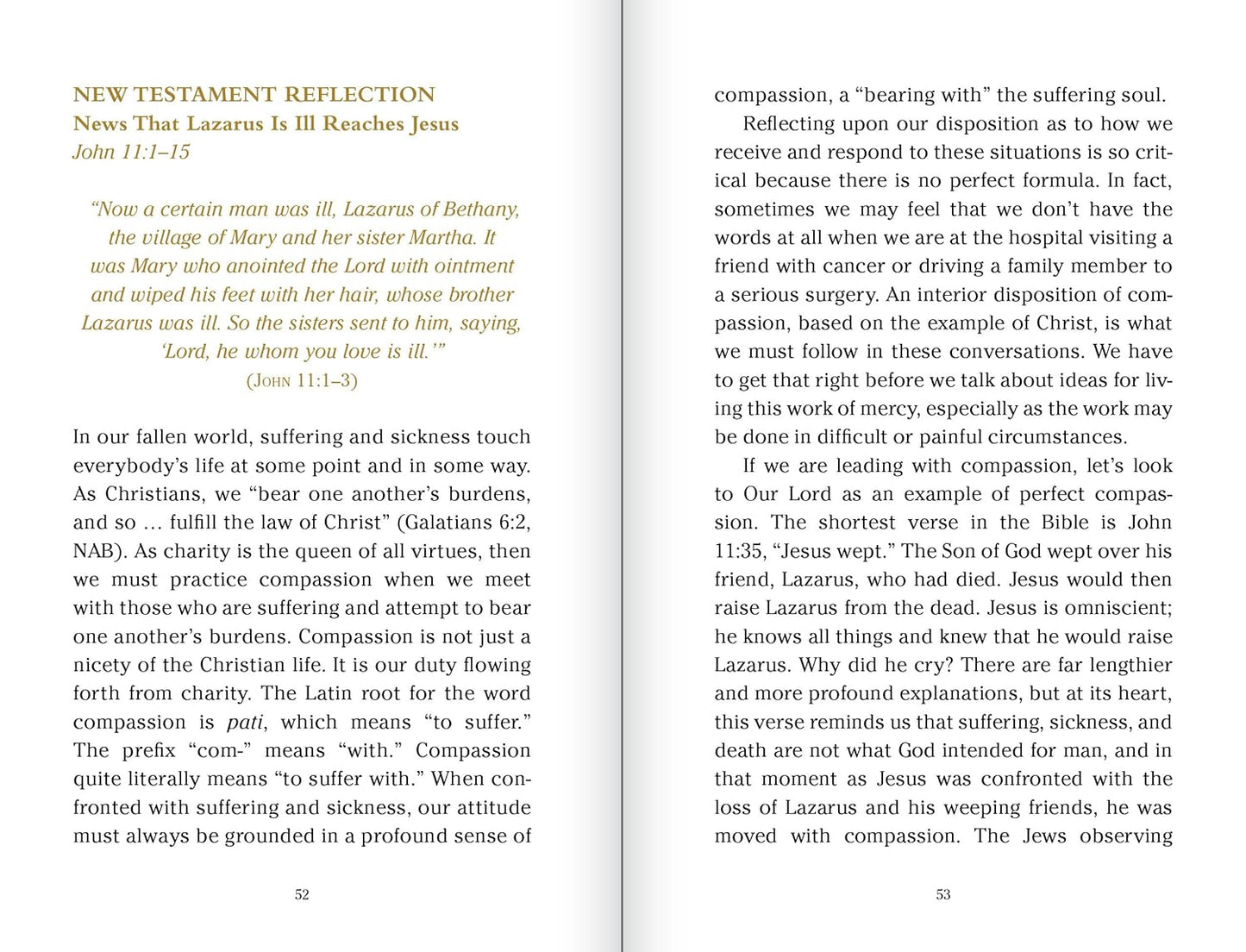 Pocket Guide to the Works of Mercy Imitation Leather