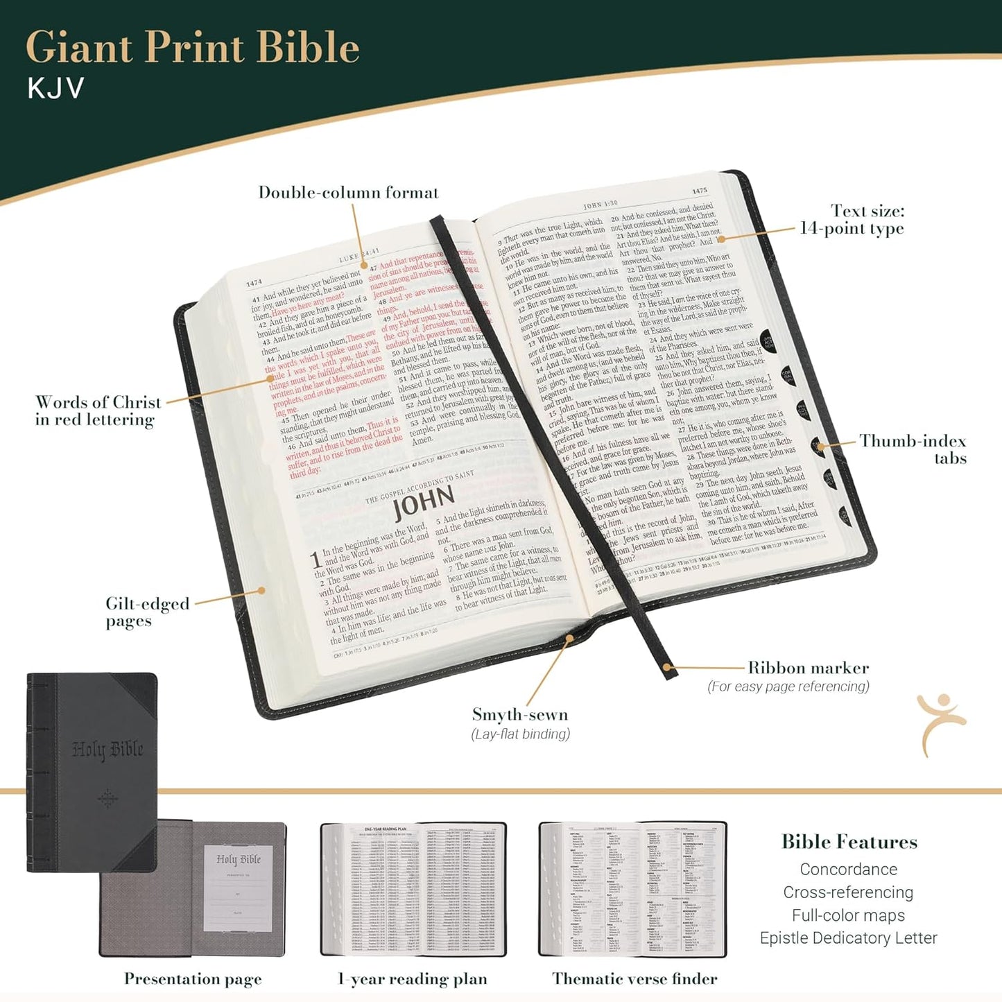 KJV Holy Bible, Giant Print Standard Size Faux Leather Red Letter Edition - Ribbon Marker, King James Version, Black /Gray