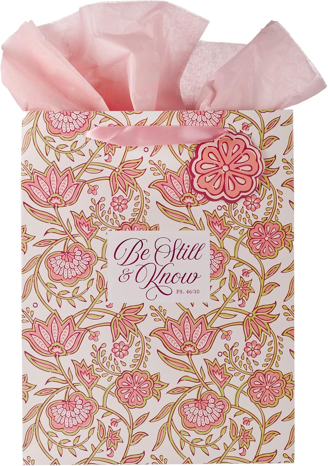 Large Scripture Gift Bag with Tissue Paper