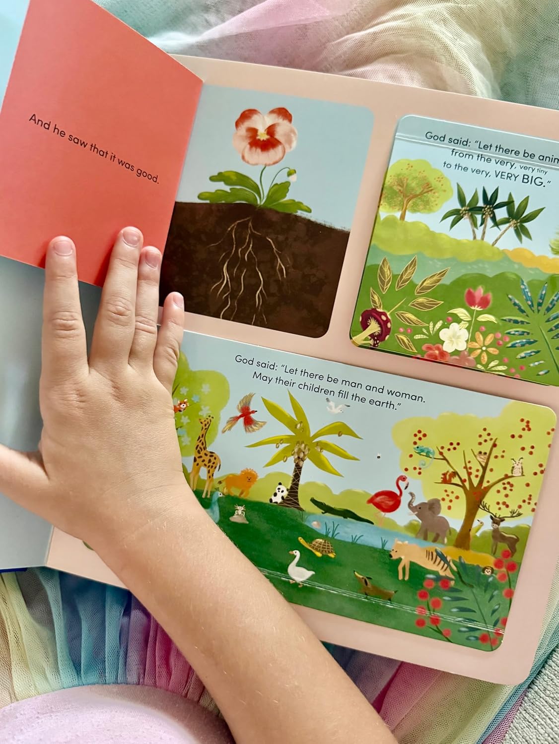 My First Lift-and-Slide Bible Board Book