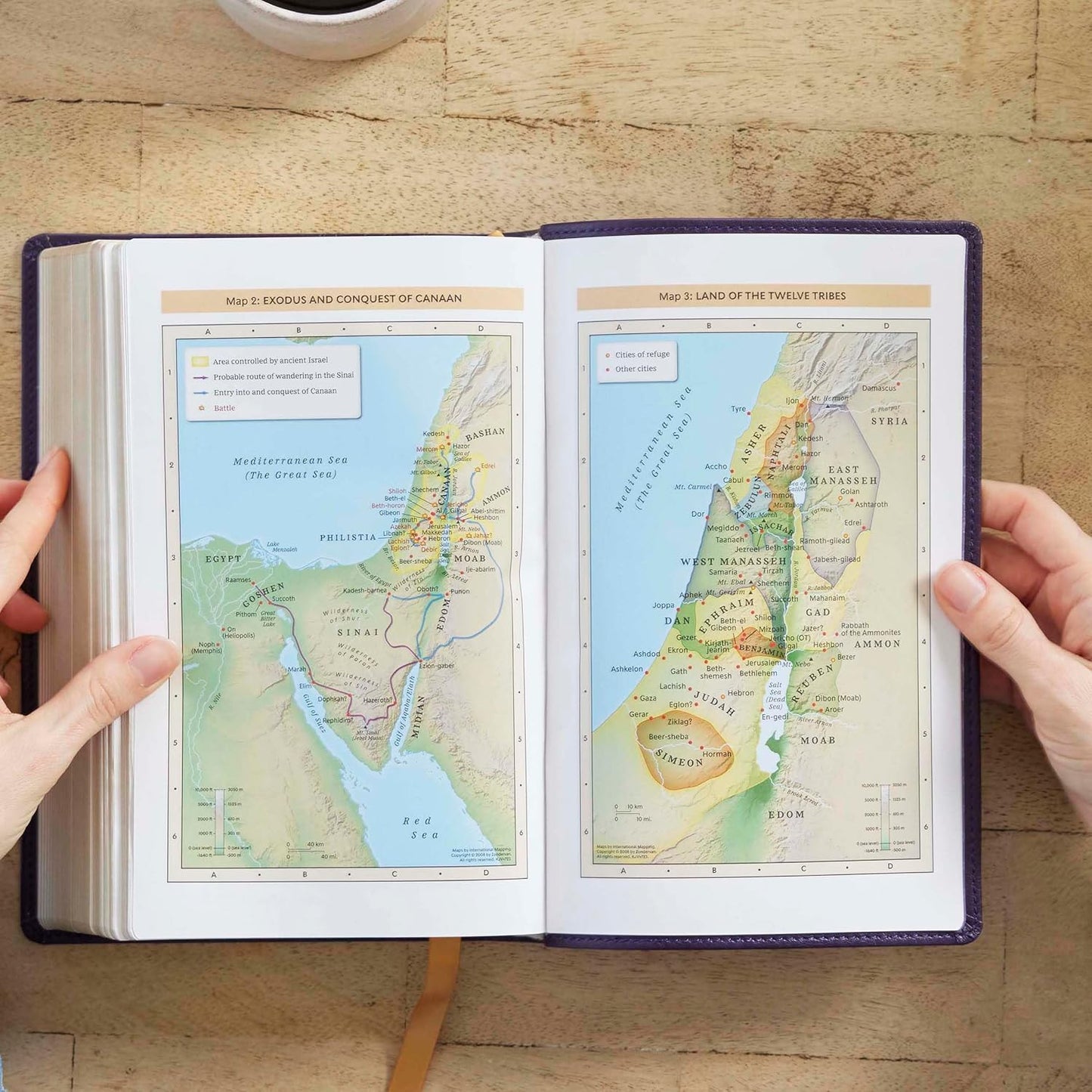 NKJV Bible: Personal Size Giant Print, Purple Leathersoft