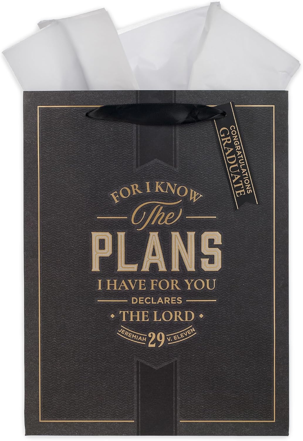 Large Scripture Gift Bag with Tissue Paper