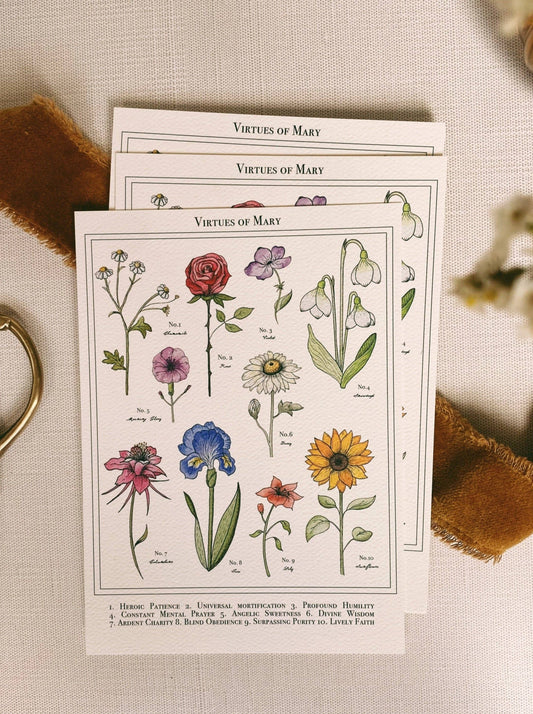 Fiat Floral Postcards