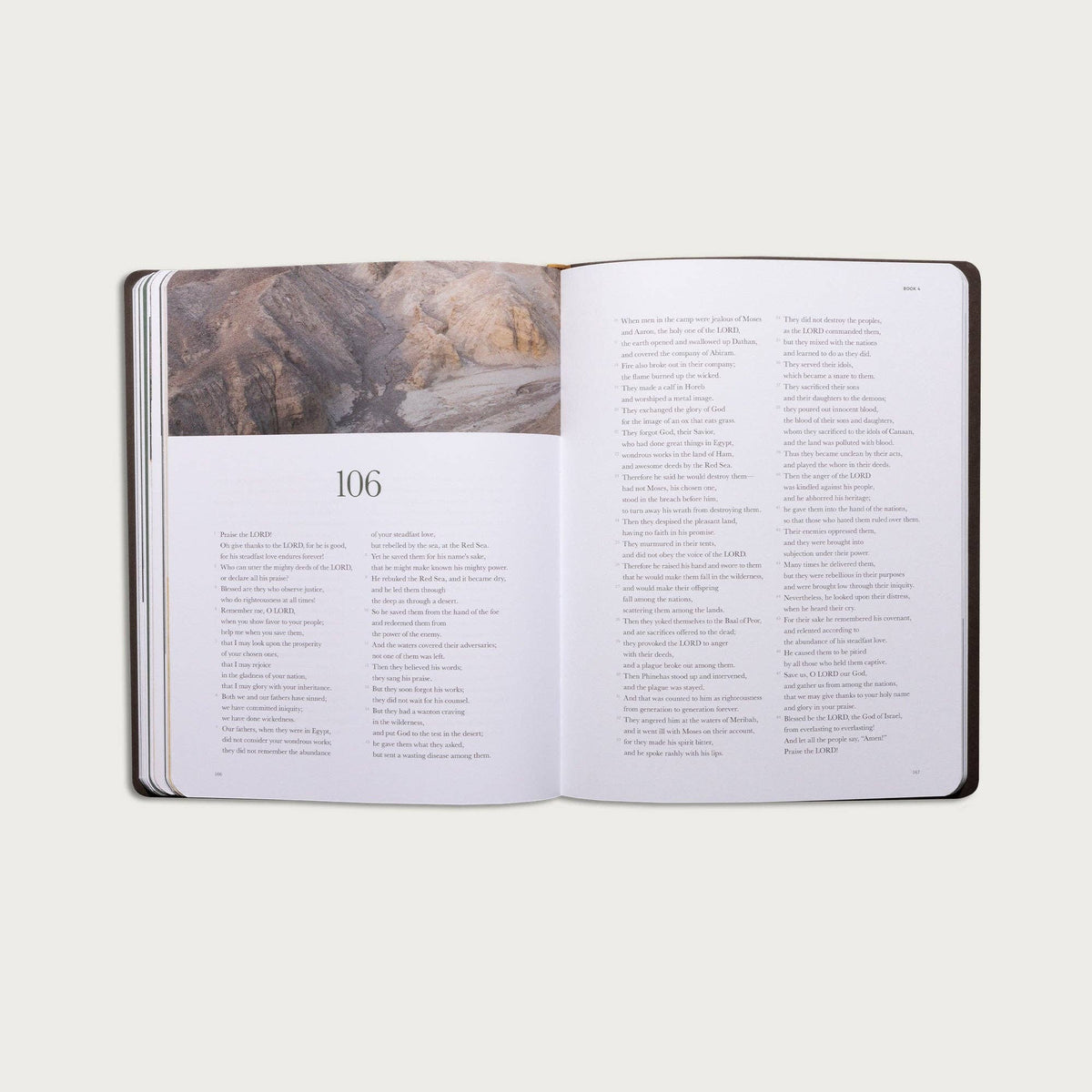The Book of Psalms