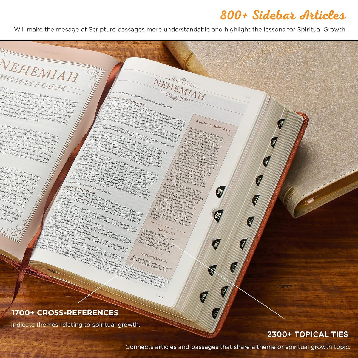 The Spiritual Growth Bible, Study Bible, NLT - New Living Translation Holy Bible, Faux Leather, Pearlescent Pink Floral