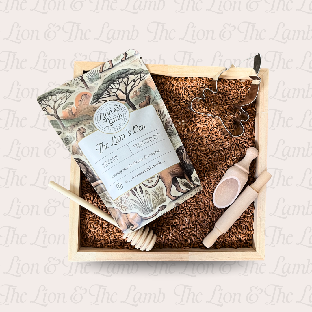 Daniel in the Lion's Den – Sensory Storybox
