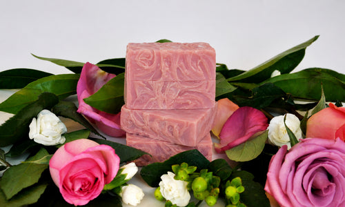 SIENA ROSE BAR