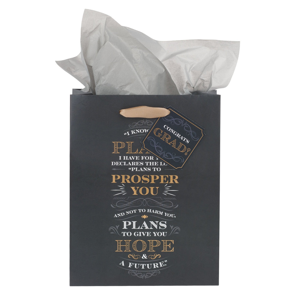 Medium Scripture Gift Bag with Tissue