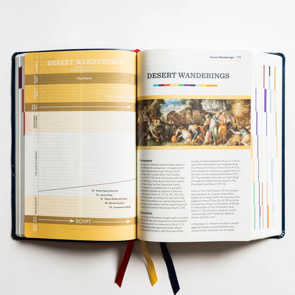 The Great Adventure Catholic Bible Large Print (Leatherlike)