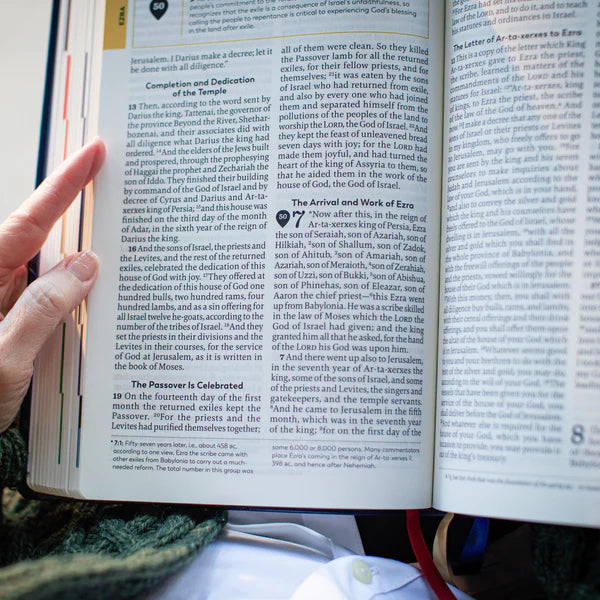 The Great Adventure Catholic Bible Large Print (Leatherlike)