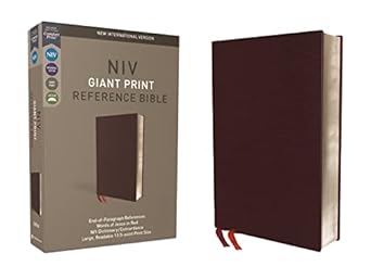 Journaling Bible Interleaved Edition ESV