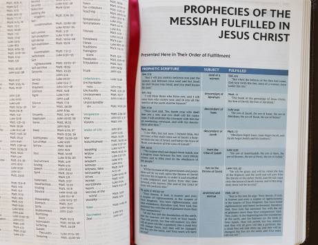 NKJV Study Bible, Full Color Edition Cranberry Leathersoft