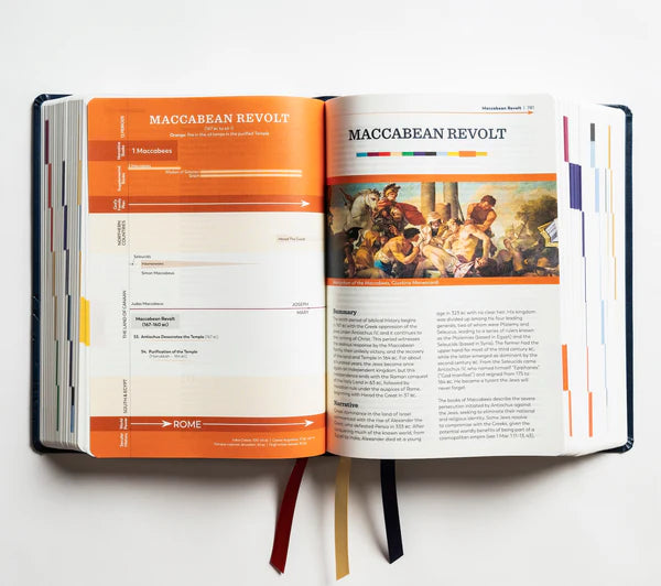 The Great Adventure Bible Notetaking Version (Leatherlike)