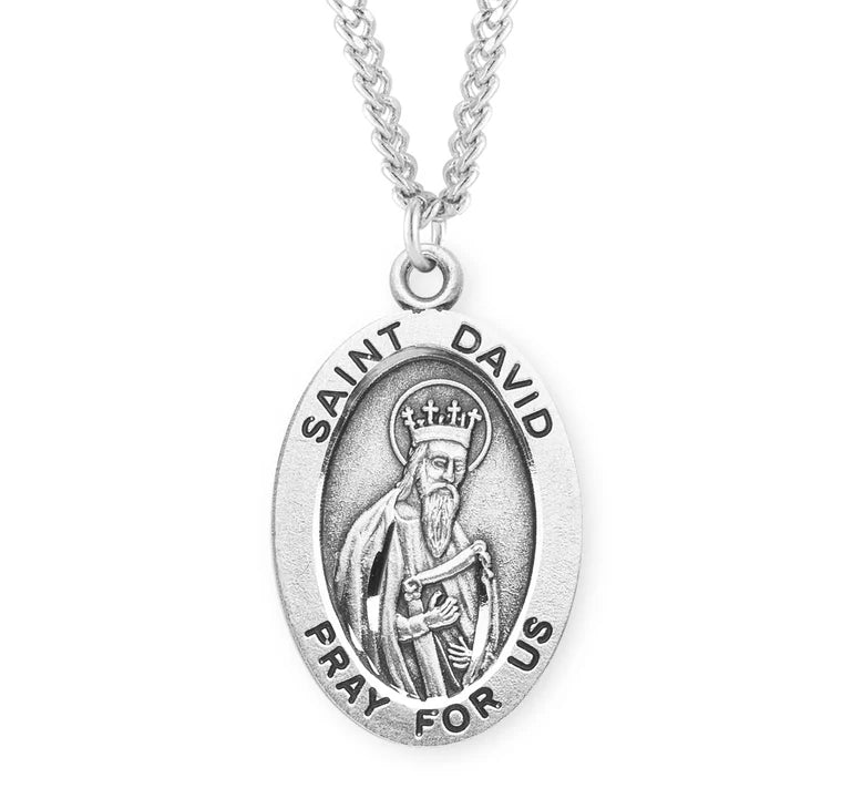 Sterling Silver Saint David Medal 20" Chain