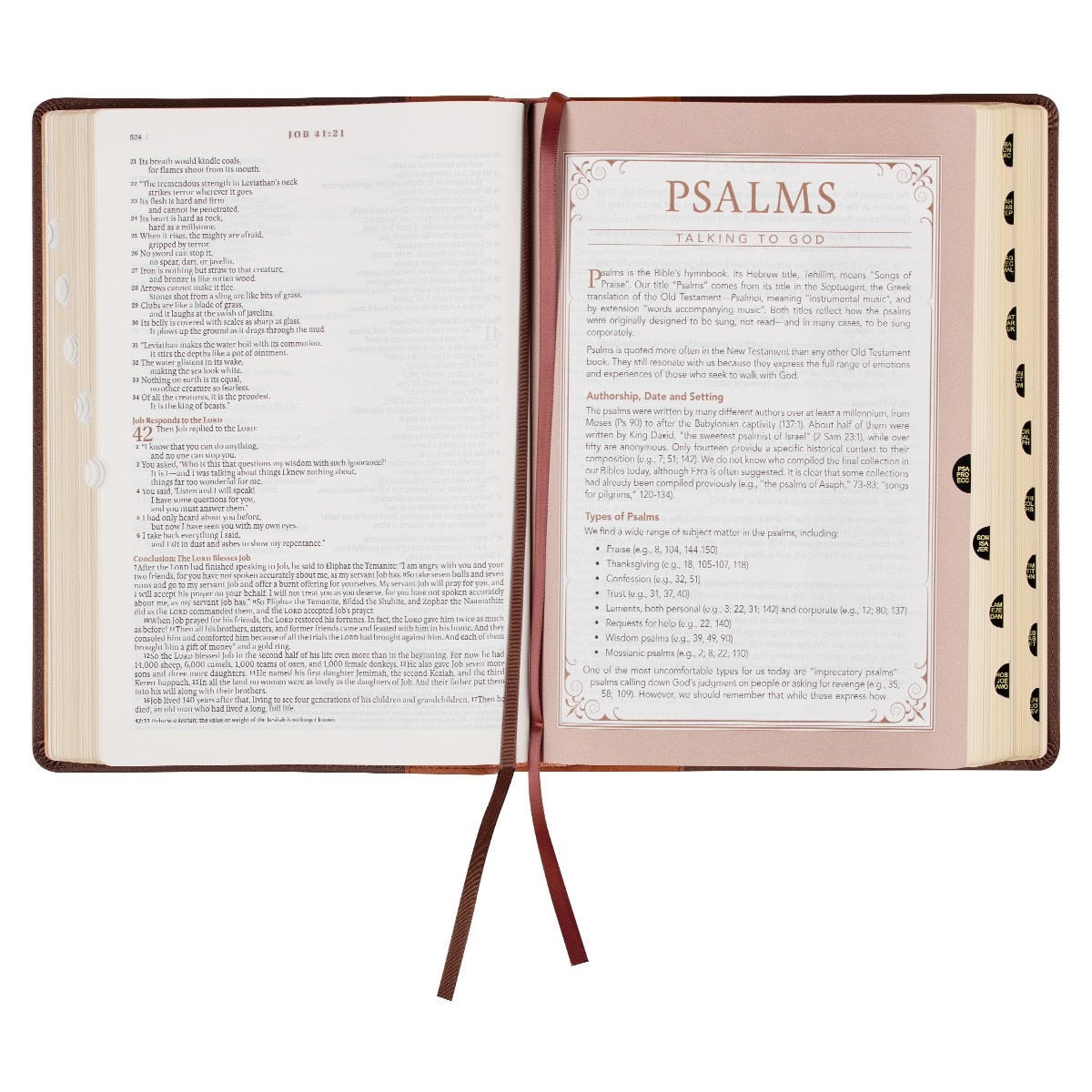 Two-tone Espresso and Toffee Brown Faux Leather Spiritual Growth Bible NLT