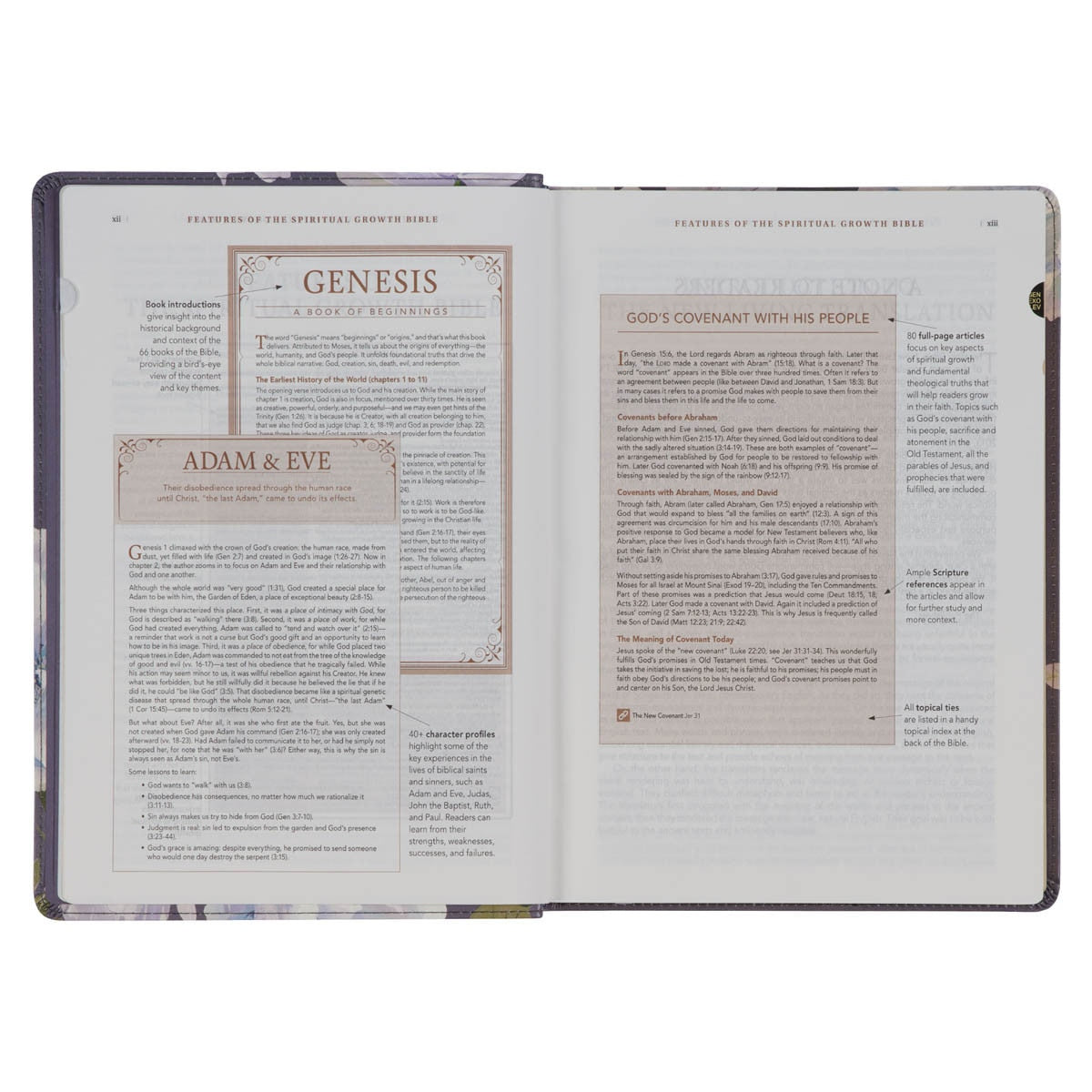 NLT Spiritual Growth Bible - Dusty Purple