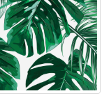 Palm Leaves Roll Wrap