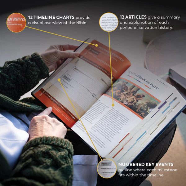 The Great Adventure Catholic Bible Large Print (Leatherlike)