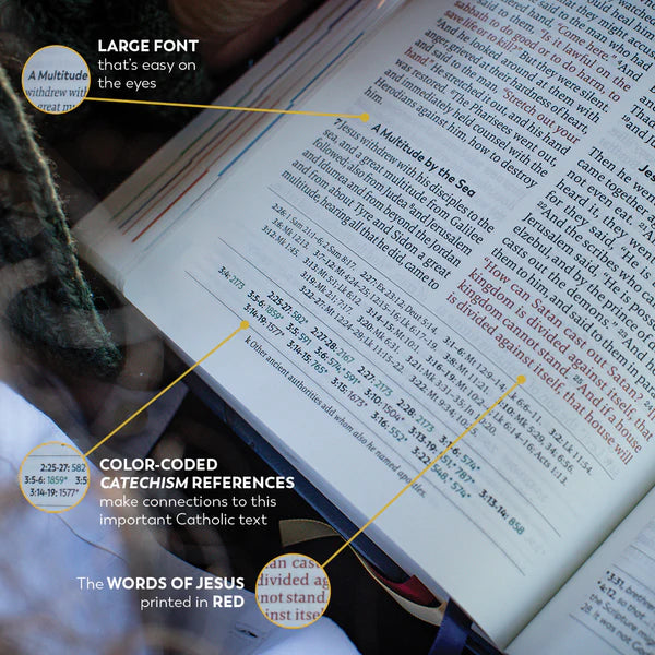 The Great Adventure Catholic Bible Large Print (Leatherlike)