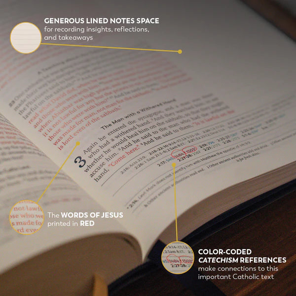 The Great Adventure Bible Notetaking Version (Leatherlike)