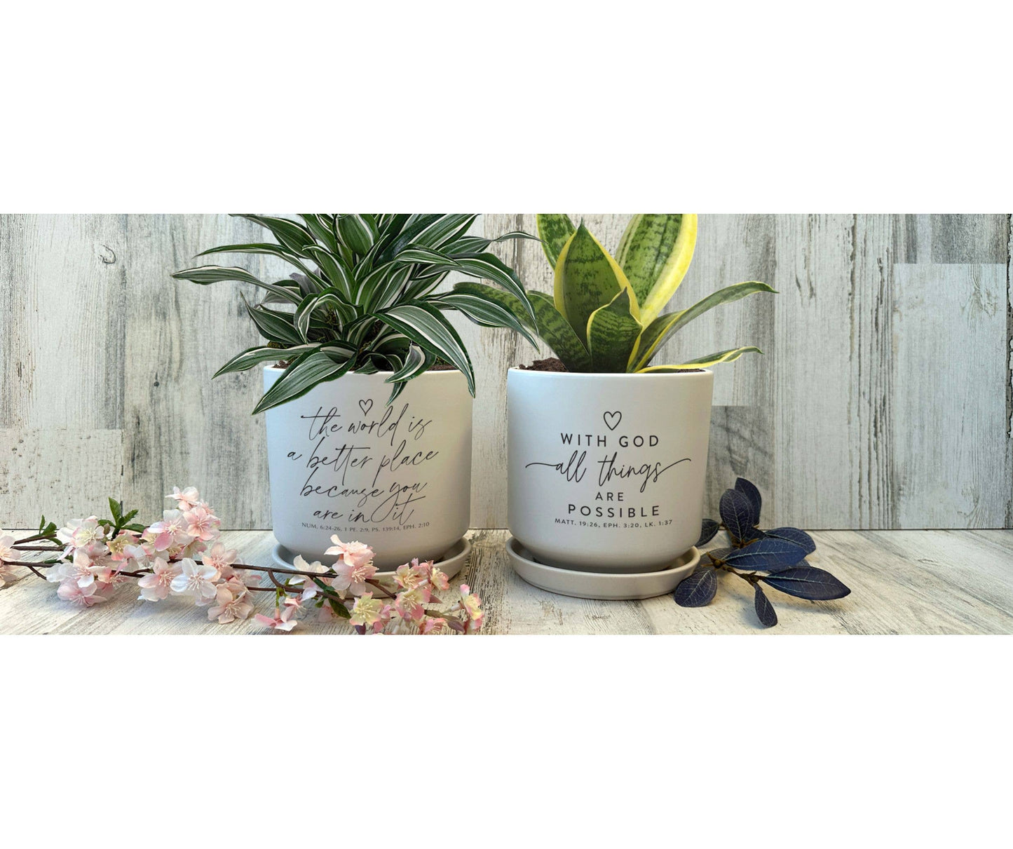 LCP Planter The World Is A Better Place