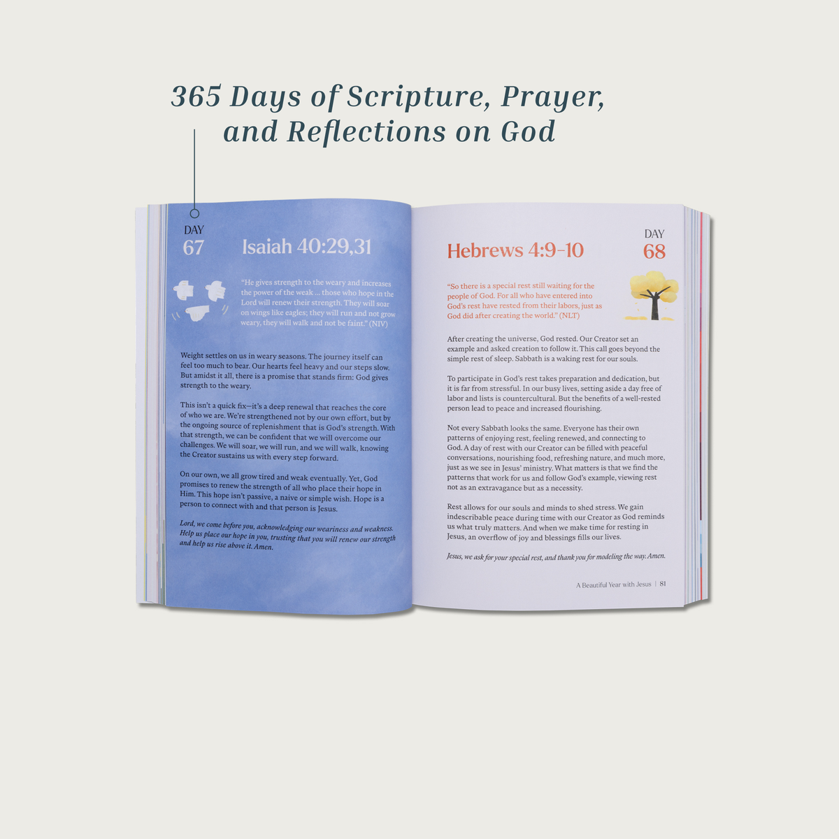 A Beautiful Year with Jesus