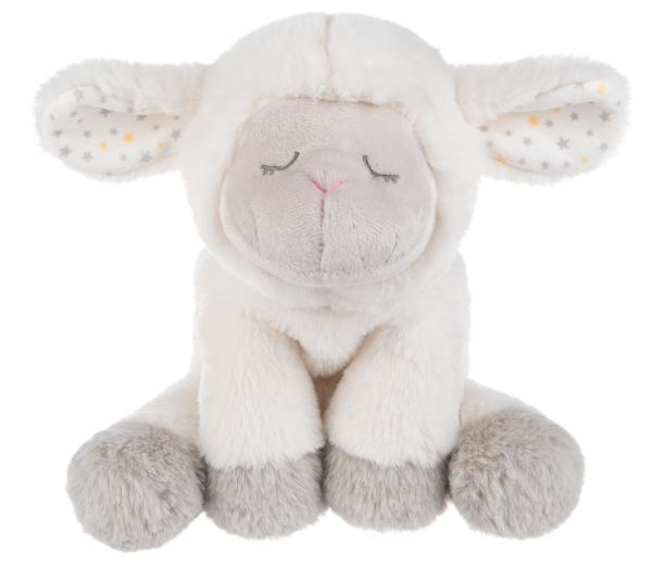 Sleepy Sheep