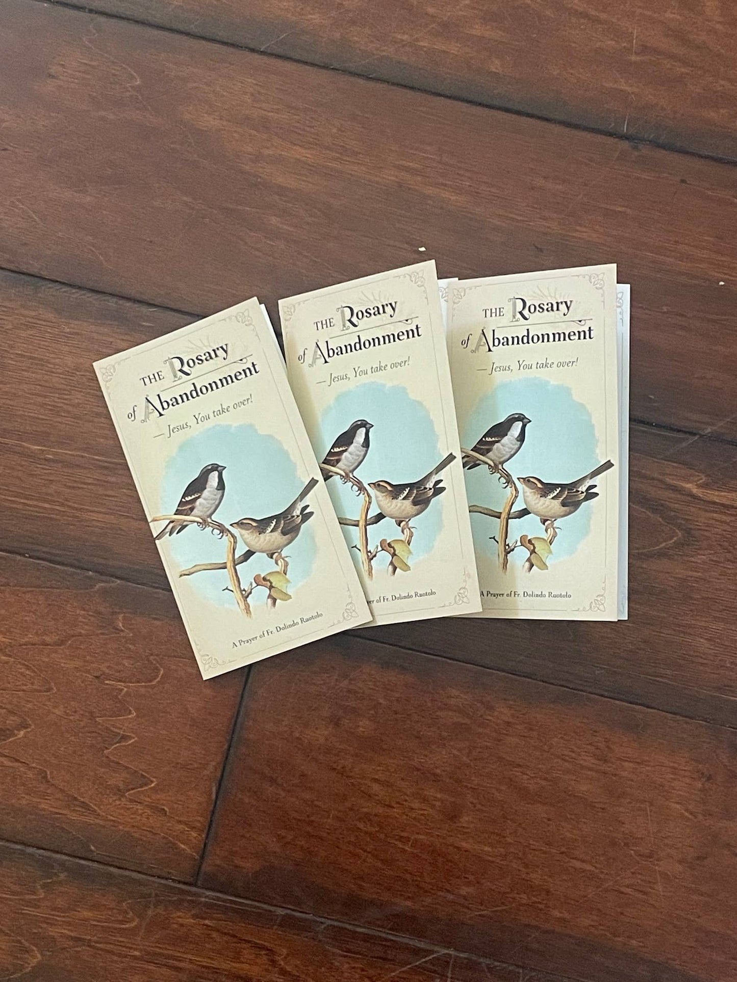 The Rosary of Abandonment. A Prayer of Fr Dolindo Ruotolo