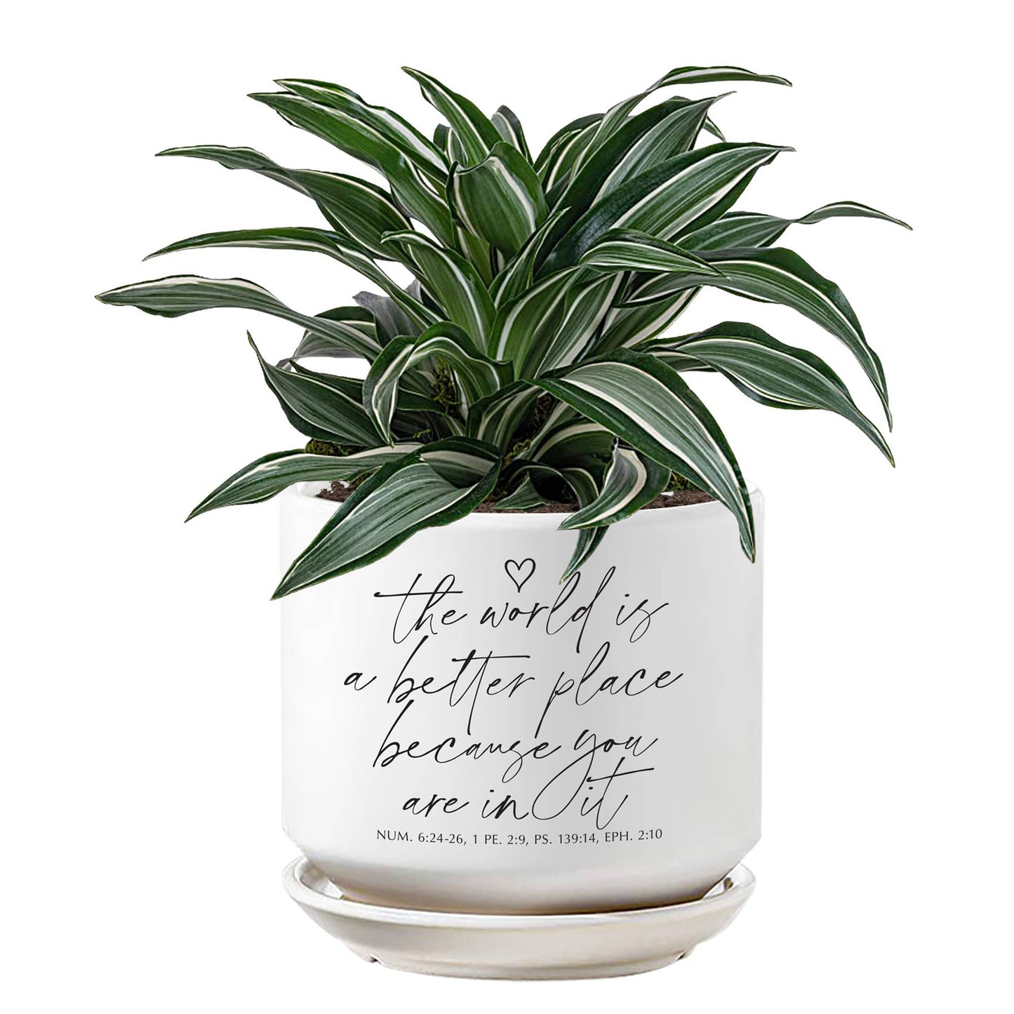 LCP Planter The World Is A Better Place